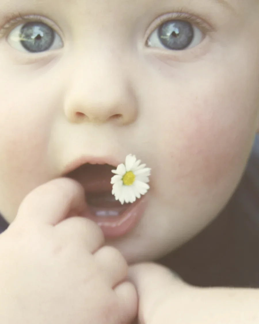 کودک با گل بابونه در دست